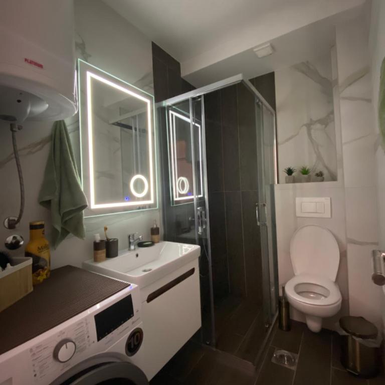 Soul Apartment Vrnjačka Banja - Apartman sa 1 Spavaćom Sobom - 18