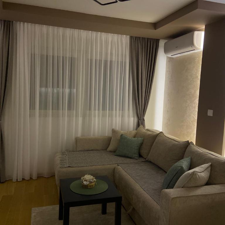 Soul Apartment Vrnjačka Banja - Apartman sa 1 Spavaćom Sobom - 11