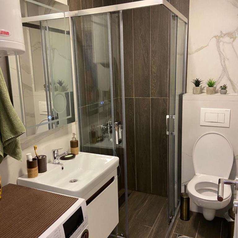 Soul Apartment Vrnjačka Banja - Apartman sa 1 Spavaćom Sobom - 16