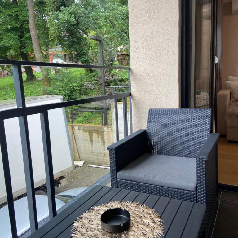 Soul Apartment Vrnjačka Banja - Apartman sa 1 Spavaćom Sobom - 21