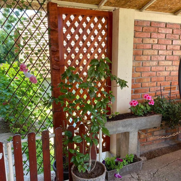 KOD BAKE - Apartman sa 1 Spavaćom Sobom - 7