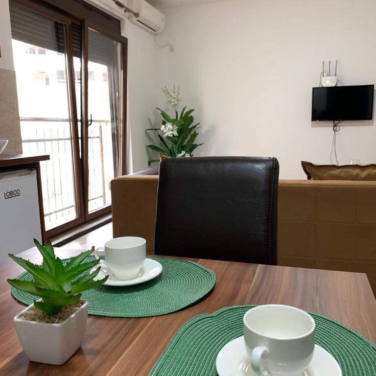 Apartments Kaladjurdjevic - Apartman sa 1 Spavaćom Sobom - 10