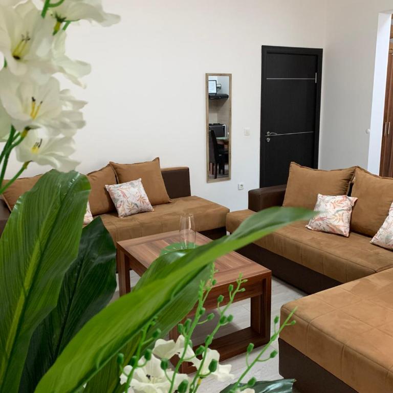 Apartments Kaladjurdjevic - Apartman sa 1 Spavaćom Sobom - 9