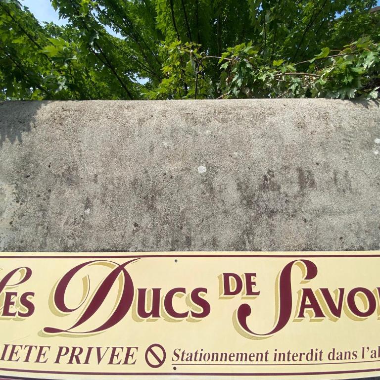 Le Duc de Savoie Thonon - Appartement 1 Chambre - 2