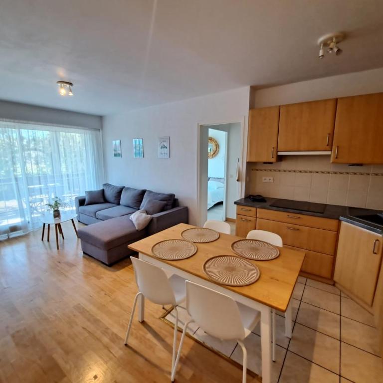 Le Duc de Savoie Thonon - Appartement 1 Chambre - 10
