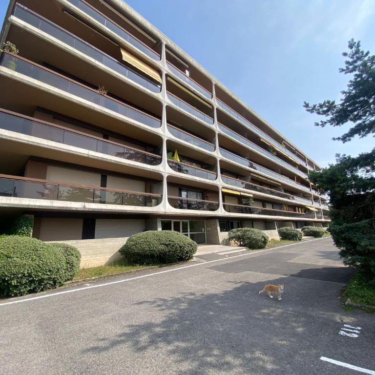 Le Duc de Savoie Thonon - Appartement 1 Chambre - 19