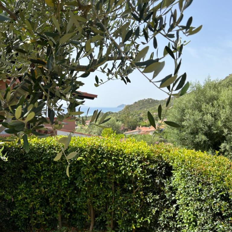 Villa Sole vista mare super panoramica - Casa con 1 Camera da Letto - 46
