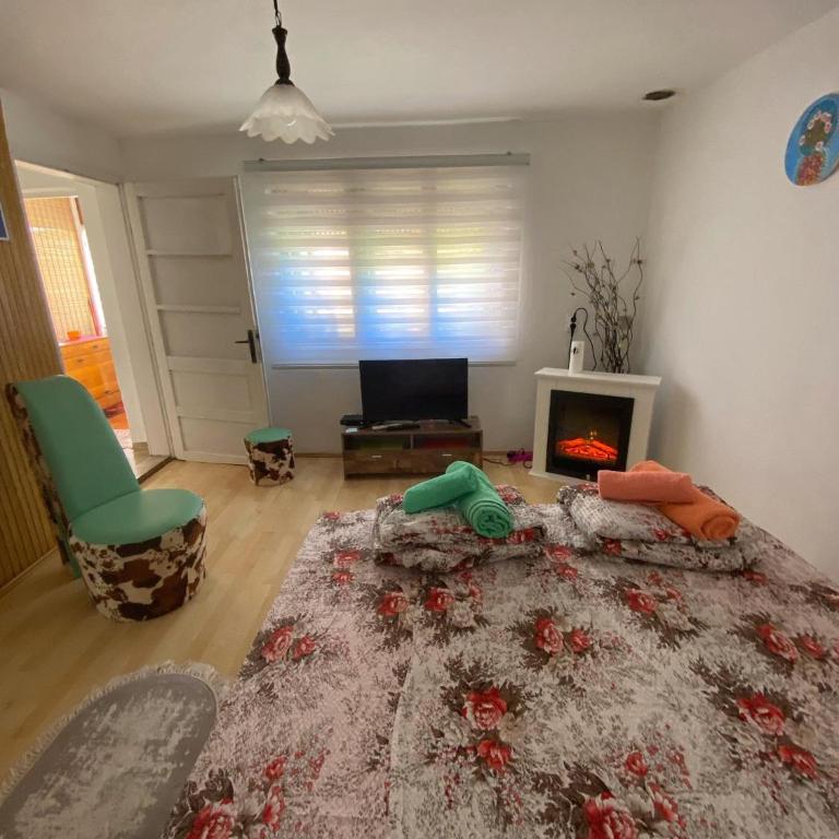 KOD BAKE - Apartman sa 1 Spavaćom Sobom - 13