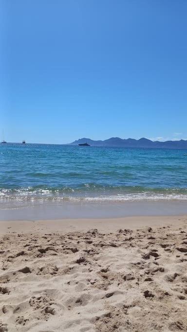 Cannes Isola Bella entre mer et montagne - Appartement 1 Chambre - 33