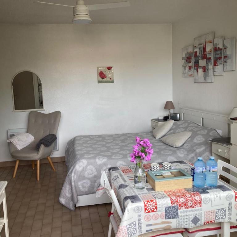 STUDIO CONFORT ET LUMINEUX avec LOGGIA ET PARKING - Studio - 3