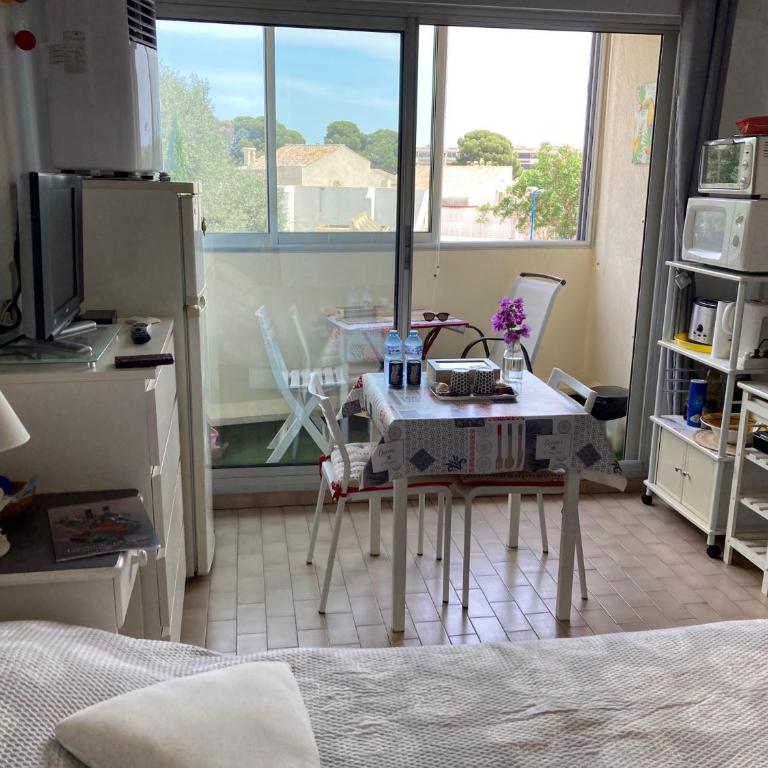 STUDIO CONFORT ET LUMINEUX avec LOGGIA ET PARKING - Studio - 7