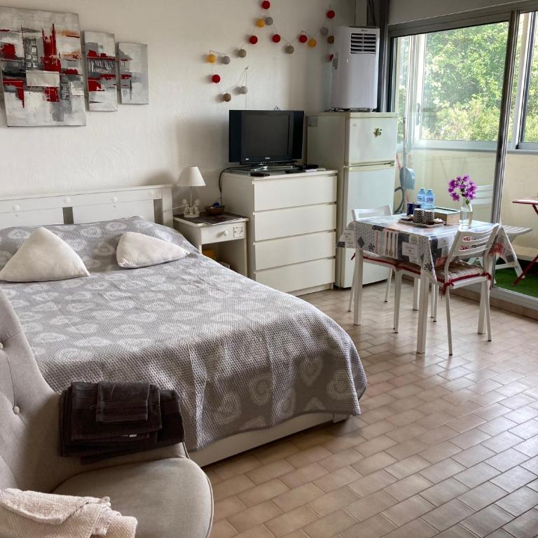 STUDIO CONFORT ET LUMINEUX avec LOGGIA ET PARKING - Studio - 6