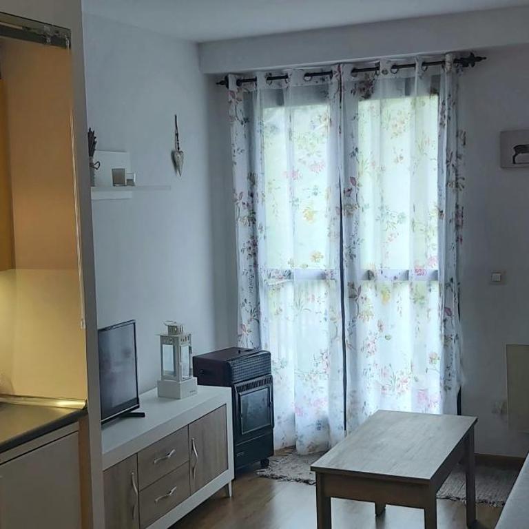 Apartamento Riglos Candanchu - Appartement 1 Chambre - 5