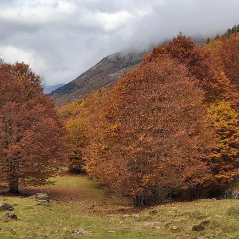 Apartamento Riglos Candanchu - Appartement 1 Chambre - 29