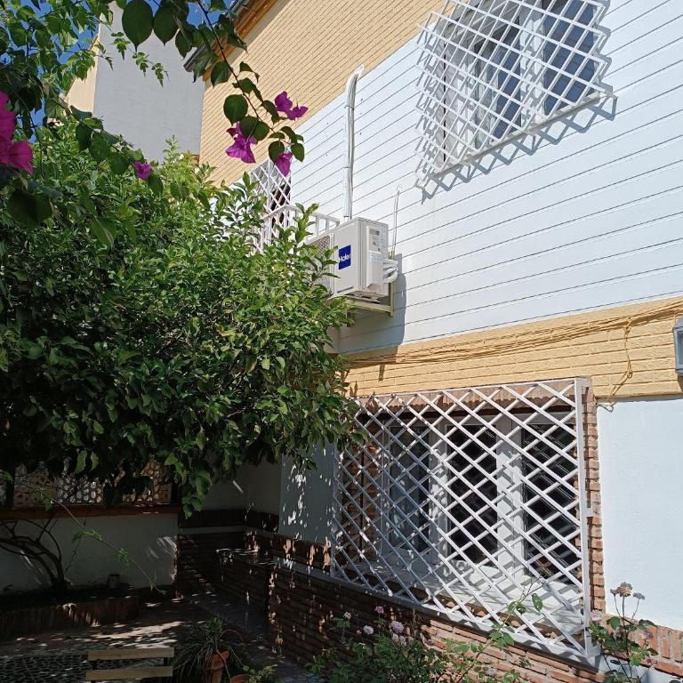 Casa Limonero con parking gratis junto a centro histórico - Four-Bedroom House - 32