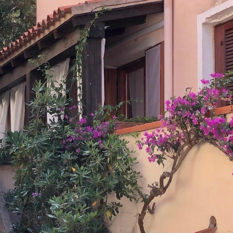 Il nido di Luca a Porto Rotondo - Appartamento con 1 Camera da Letto - 1