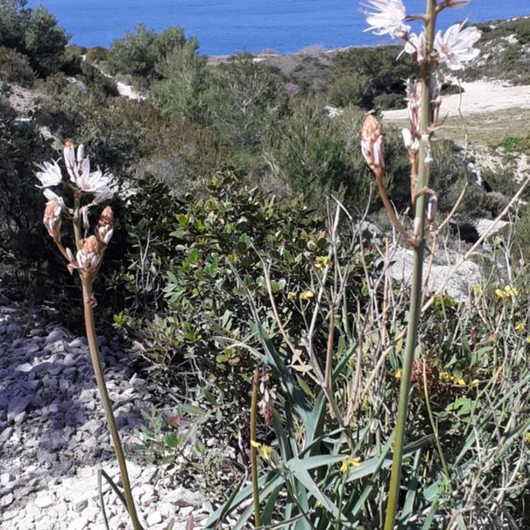 MAISON VUE MAGISTRALE SUR LE PORT ET CALANQUES DES GOUDES MARSEILLE - Three-Bedroom House - 5