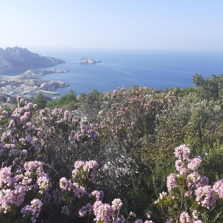 MAISON VUE MAGISTRALE SUR LE PORT ET CALANQUES DES GOUDES MARSEILLE - Three-Bedroom House - 6