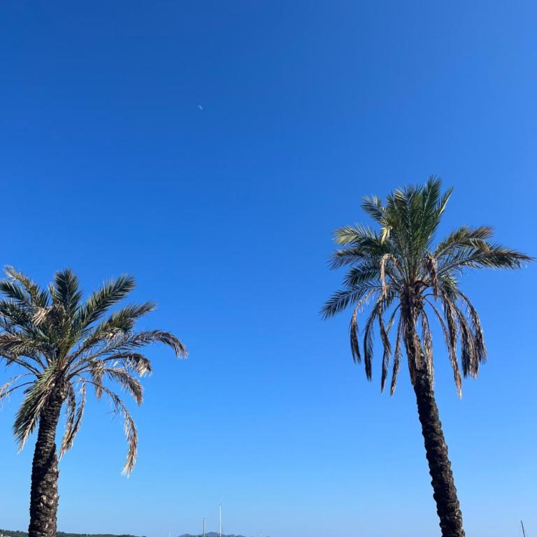 A Pied du Port de Bandol et de sa Plage - Appartement 1 Chambre - 33