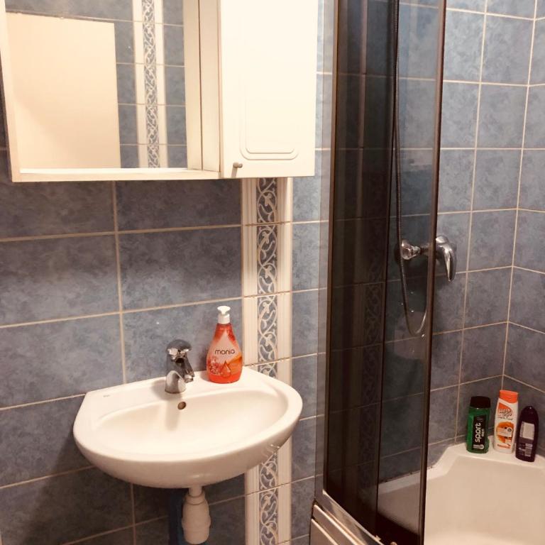 Apartman S&M - Apartman sa 1 Spavaćom Sobom - 16