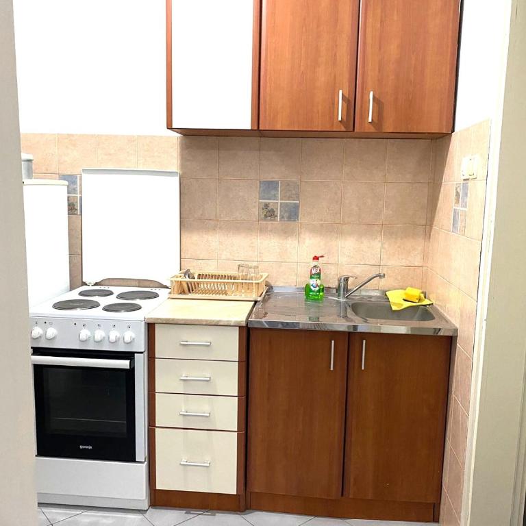 Pejovic Guest House - Apartman sa 2 Spavaće Sobe - 4