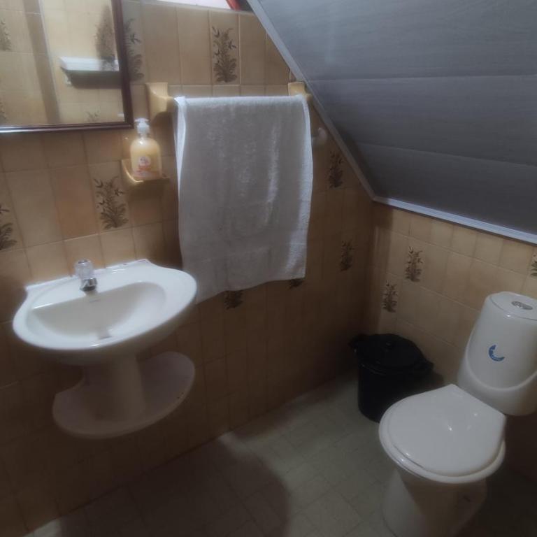 Finca Turistica Rural El Descanso, privada Restrepo, Meta - Colombia - Casa de 3 dormitorios - 22