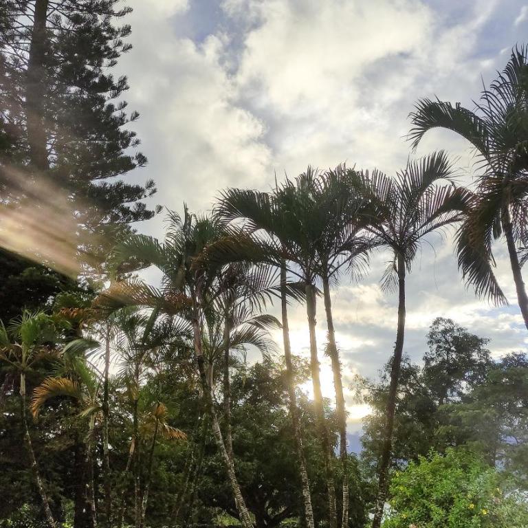 Finca Turistica Rural El Descanso, privada Restrepo, Meta - Colombia - Casa de 3 dormitorios - 95