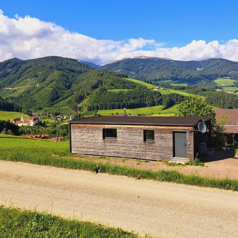 Loft in Gaal by Ski Slopes & Hiking Trails - Mobilheim - 6