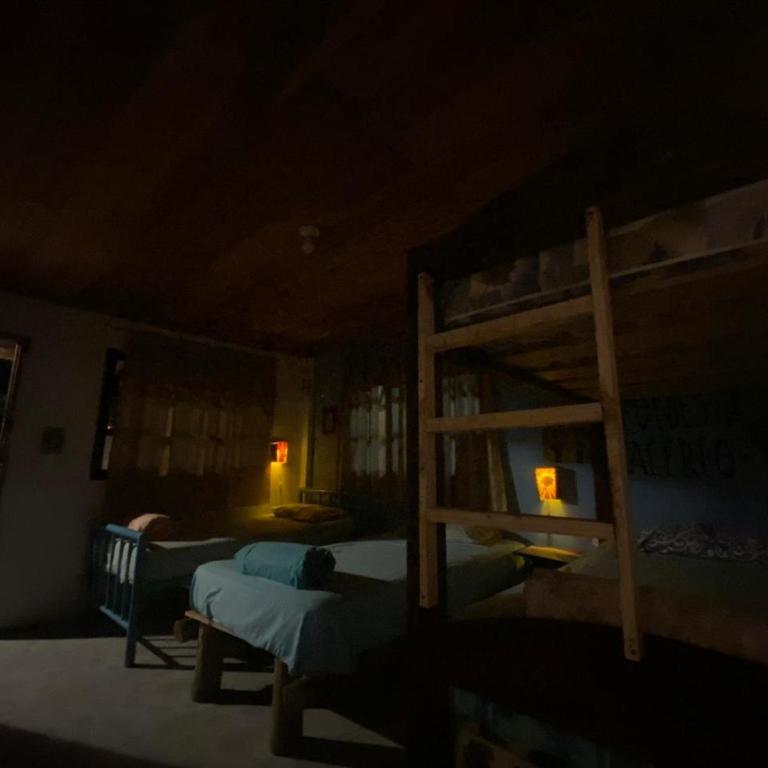 Matilda Ec - Bed in 4-Bed Dormitory Room - 18