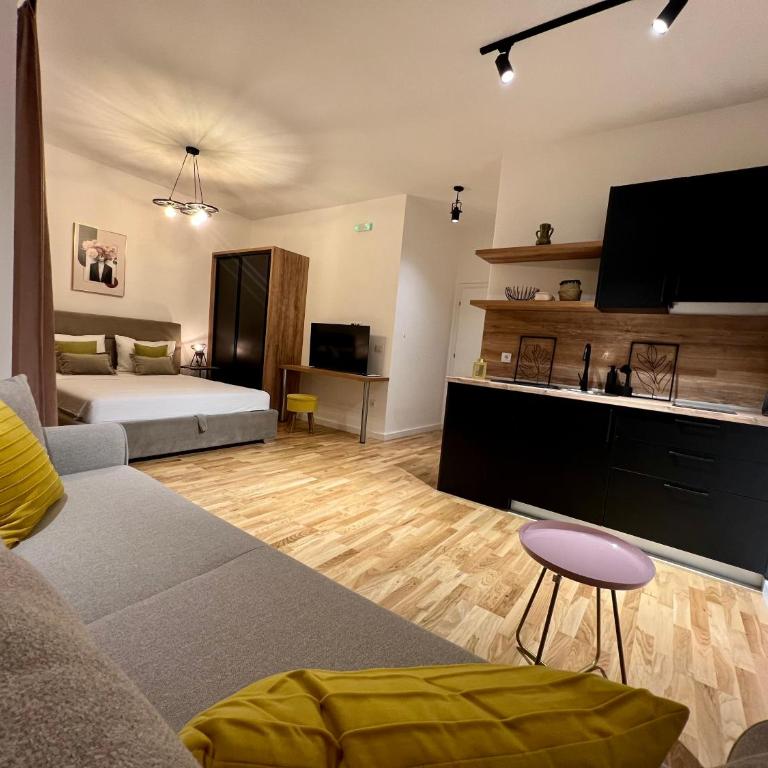 Remi Studio Apartments - Porodični Studio - 11