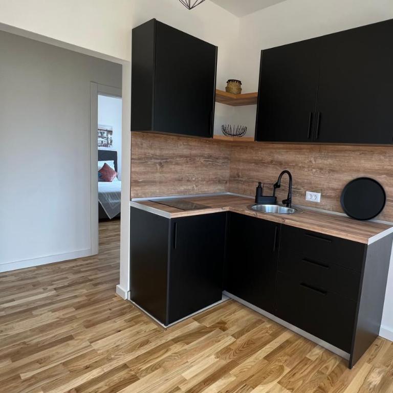 Remi Studio Apartments - Apartman sa Balkonom - 6