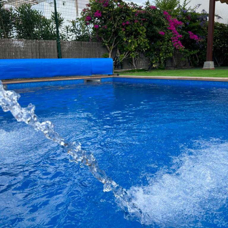 SPLENDID STAR TENERIFE Jacuzzi Pool - Villa de 1 dormitorio - 14