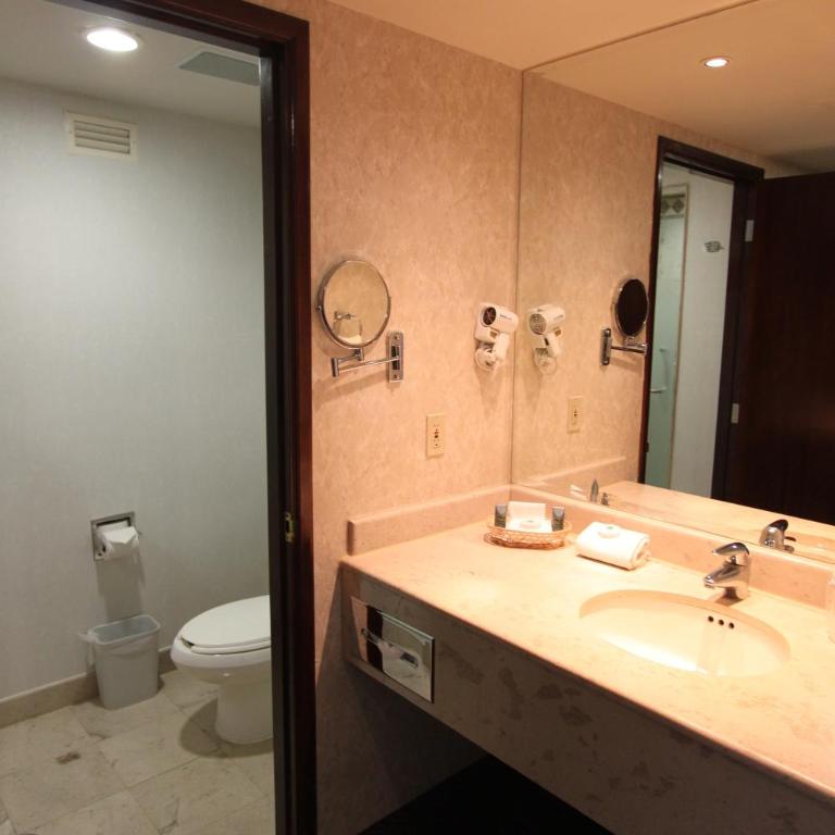 Quality Inn Monterrey La Fe - Standard Double Room - 4