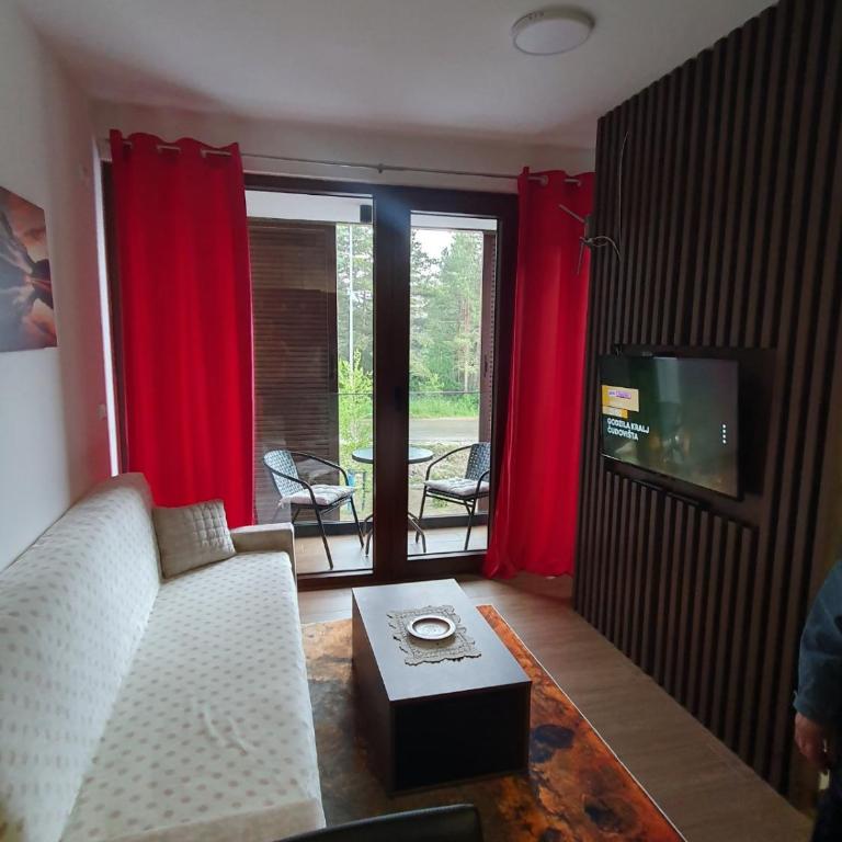 Apartmani Gavric Borovi 2 - Studio Apartment - 34
