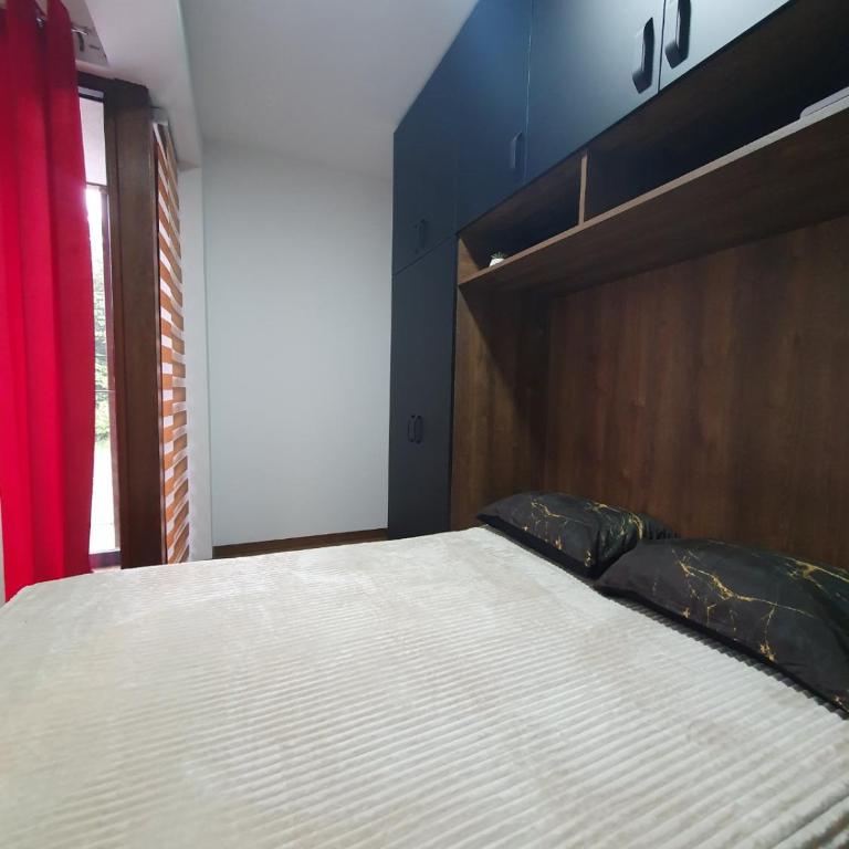 Apartmani Gavric Borovi 2 - Studio Apartment - 30
