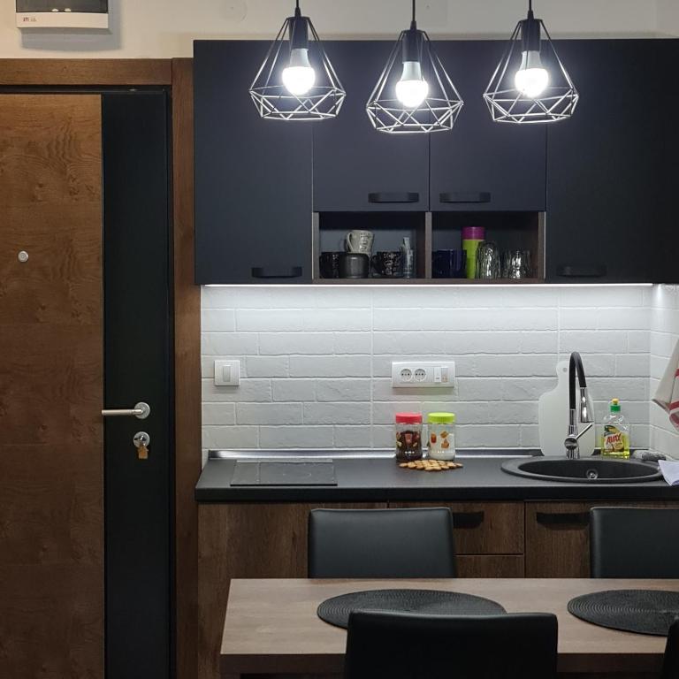 Apartmani Gavric Borovi 2 - Studio Apartment - 20