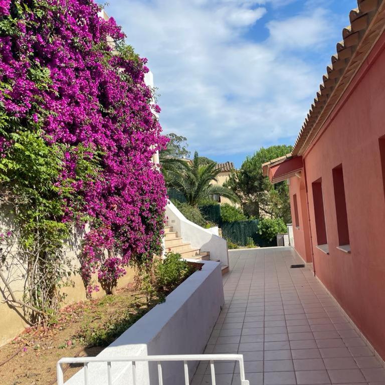 Casa Bosc (Residencial Begur) - Apartamento de 2 dormitorios - 41