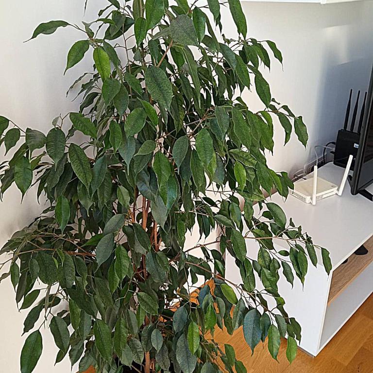 Renta apartman - Apartman sa 1 Spavaćom Sobom - 20