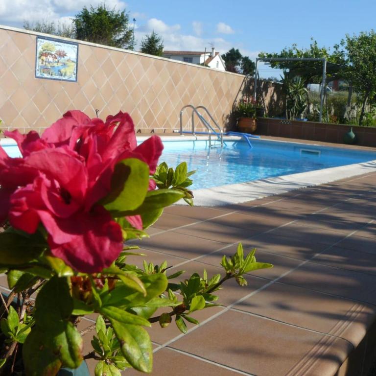 Apartamento Conroibo - Apartamento de 3 dormitorios - 25