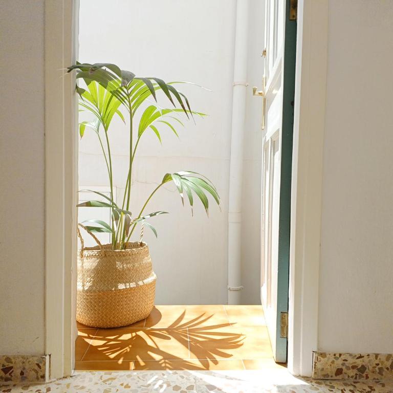 Las Pizarrillas: tu hogar en este blanco pueblo - Casa de 3 dormitorios - 25