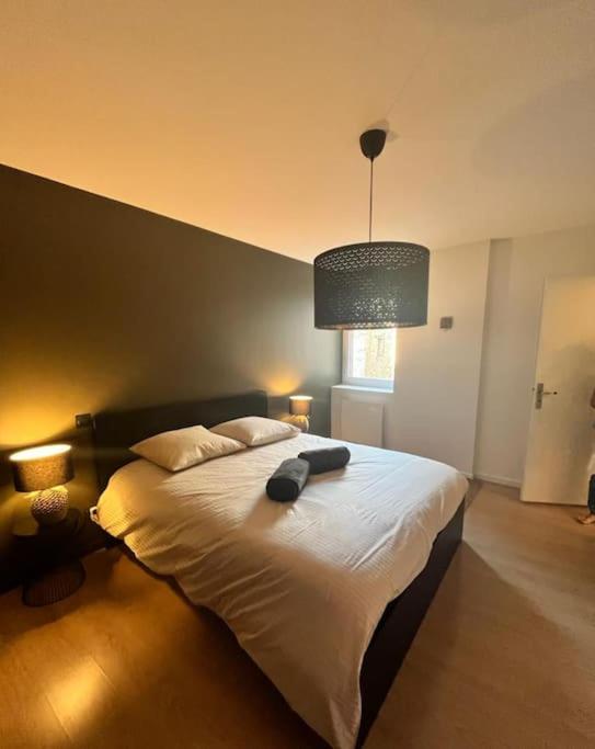 Vigne et mer-Spacieux Appartement Haussmannien-2chambres-Wifi - Appartement 2 Chambres - 18