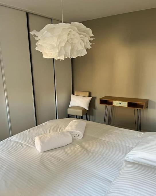 Vigne et mer-Spacieux Appartement Haussmannien-2chambres-Wifi - Appartement 2 Chambres - 24