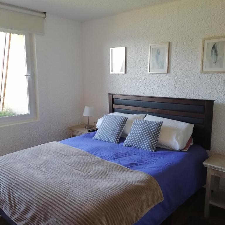 Departamento en el Centro de Pucón, Hermosa vista al lago !! - Apartamento - 30