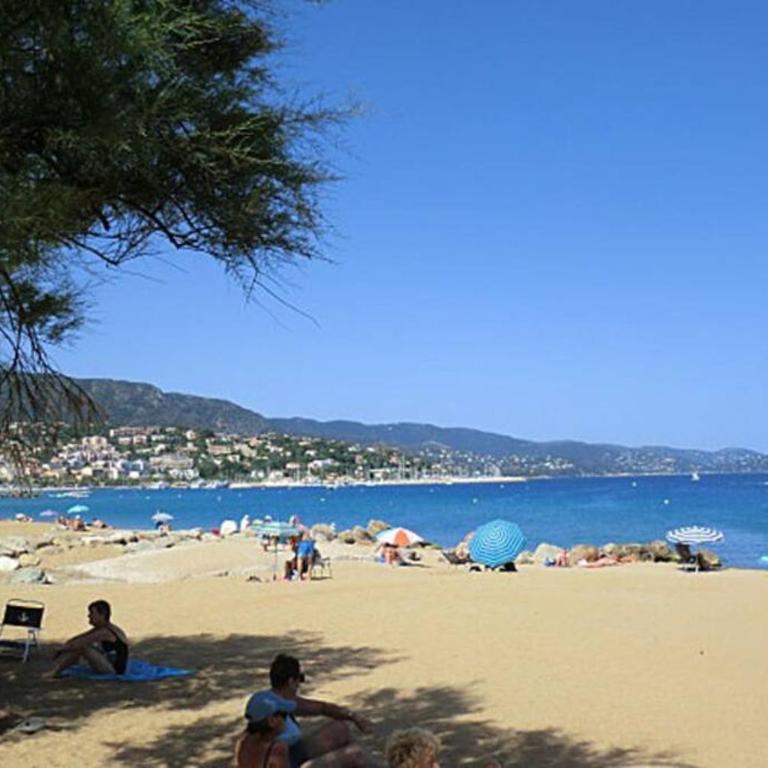 appartement cosy à 100m de la plage, CLIM, WIFI, piscine - Apartment mit 1 Schlafzimmer - 7