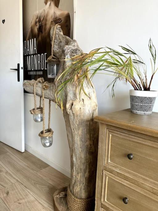 Appartement Cosy Calao - Parking fermé gratuit - Two-Bedroom Apartment - 15