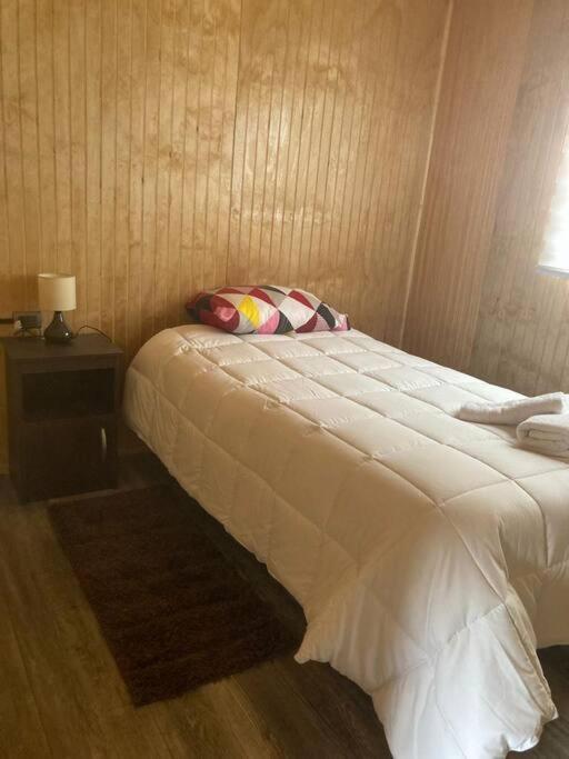 Cabañas Rio Pangal - Apartamento de 3 dormitorios - 4