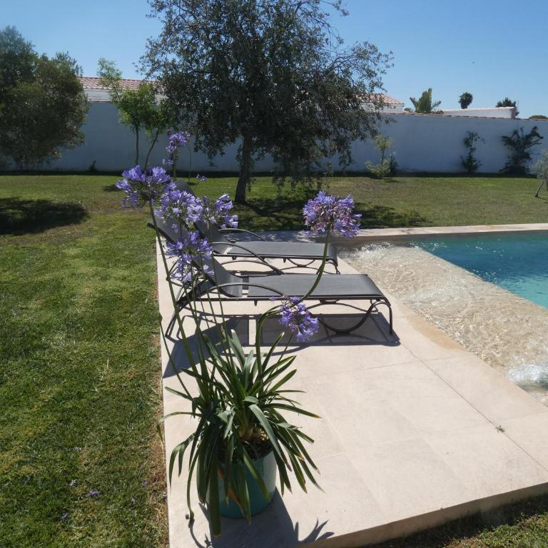 Villa Olivia con Piscina, Jardin y Parking - Casa de 2 dormitorios - 6