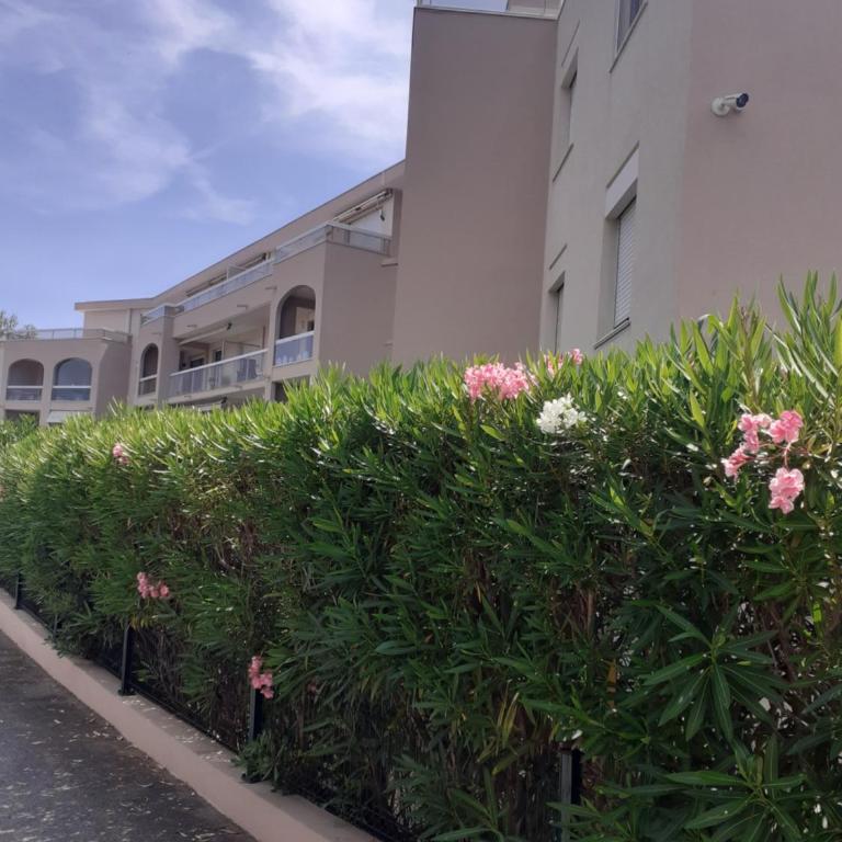T2 Bord de mer avec jardin et piscine - One-Bedroom Apartment - 34
