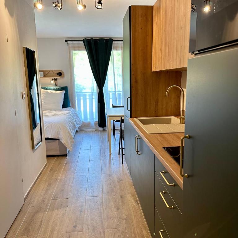Somptueux studio de 17m2 Bernex - Appartement 1 Chambre - 1