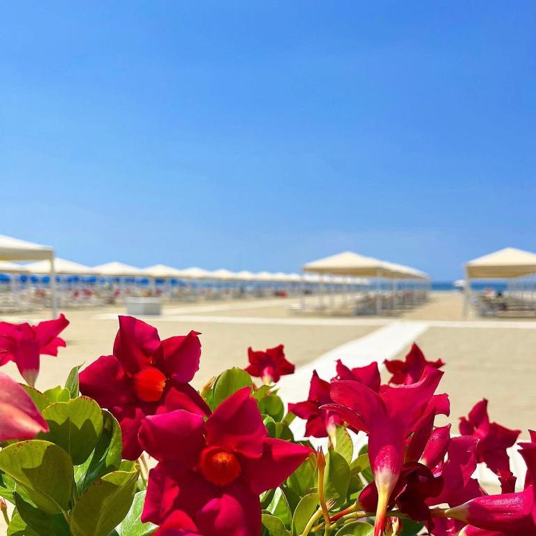 Villa Carli in centro a Forte dei Marmi - Villa con 2 Camere da Letto - 14